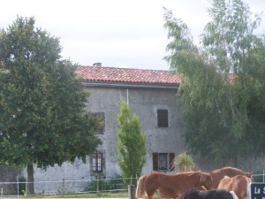 Private house in St. Gaudens (France)