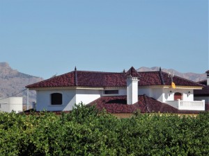 House with Irisado Cognac